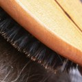 Understanding the Link Between Stress and Hair Loss